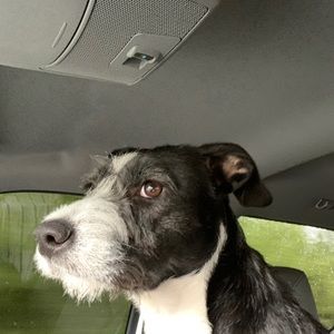 Meet your Posher, Charles